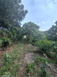 Terreno con vista en venta en Comasagua La Libertad