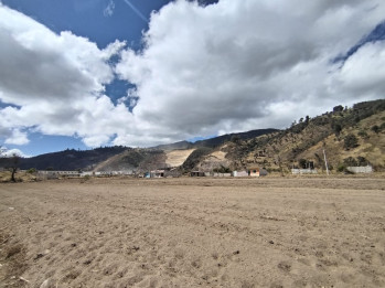 16 cuerdas por pacaja bajo