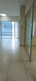 OFICINA EN RENTA,  EDIFICIO ZONA PRADERA, Zona 10