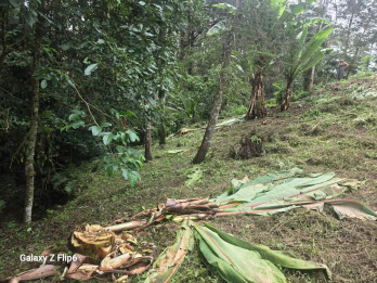 TERRENO EN #VENTA EN PIEDRA PARADA CRISTO REY