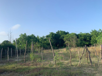 Venta de solar en Estancia la Herradura, Santiago 