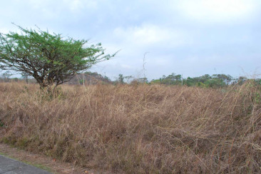 Terreno en venta en Puerto Quetzal