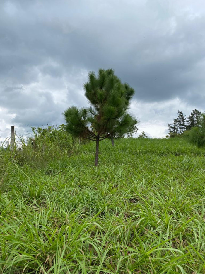 Terreno Comercial en renta en km 57, Chimaltenango - Image 1