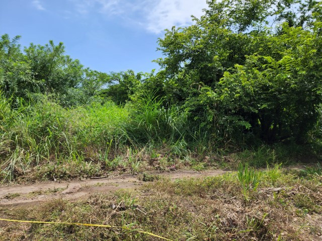 Terreno de 14 x 50 metros en Venta Quintas Malibu - Image 1