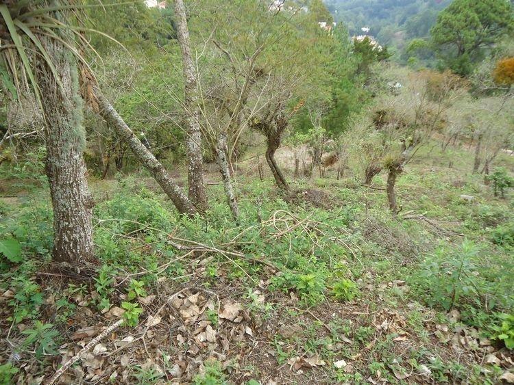 Terreno en venta en Las Cumbres zona 16 Guatemala
