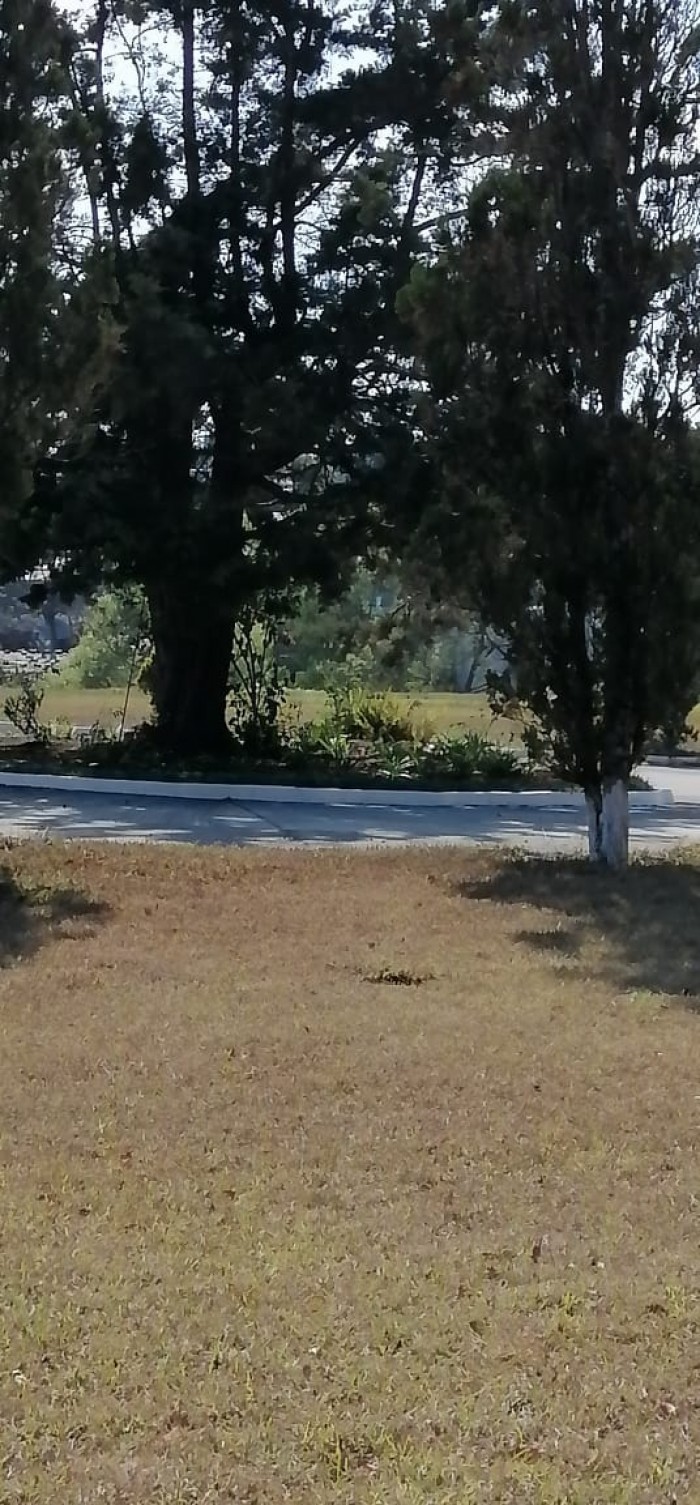 Terreno en Venta Cementerio Jardín Los Olivos, CES - Image 1