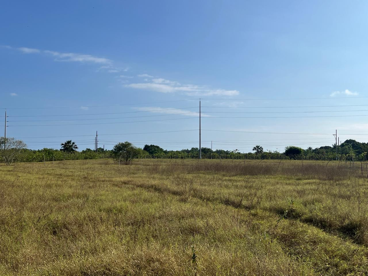 Terreno comercial en venta Monterrico