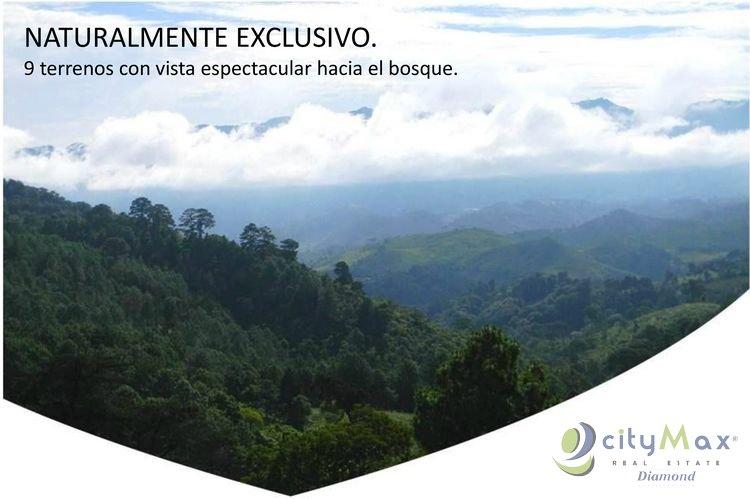 Terreno en Venta en Vista Hermosa IV, zona 16