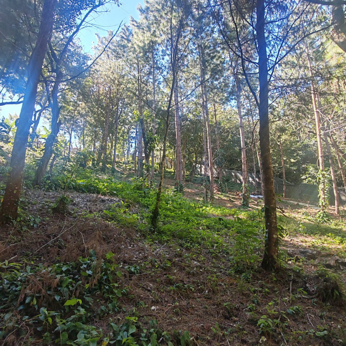 Finca en Venta de 9 manzanas en Fraijanes Guatemala