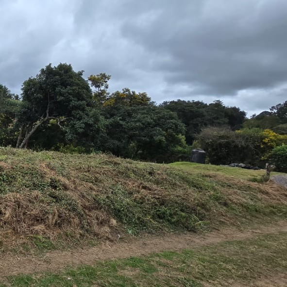 Terreno en Venta Granja Villas Alicia KM 32.9 Santiago - Image 1