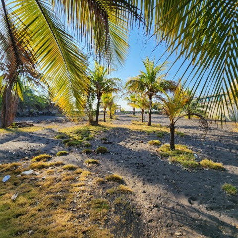 Cesión de Terreno Vacacional en OCRET Puerto San José - Image 1