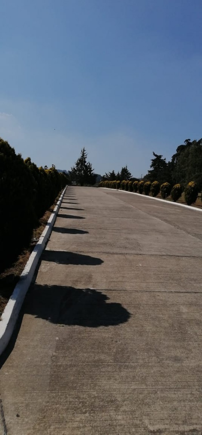 Terreno en Venta de 3 Criptas Cementerio Los Olivos CES - Image 1