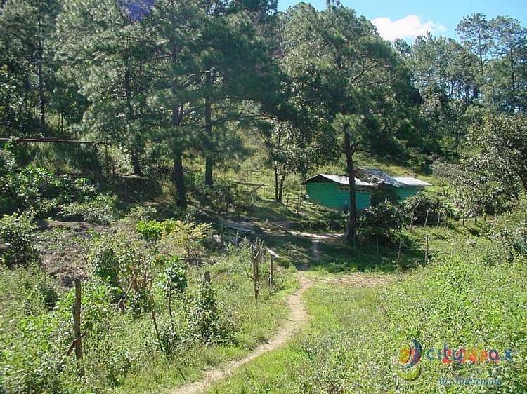 Vendo Finca Rustica en San Pedro Ayampuc