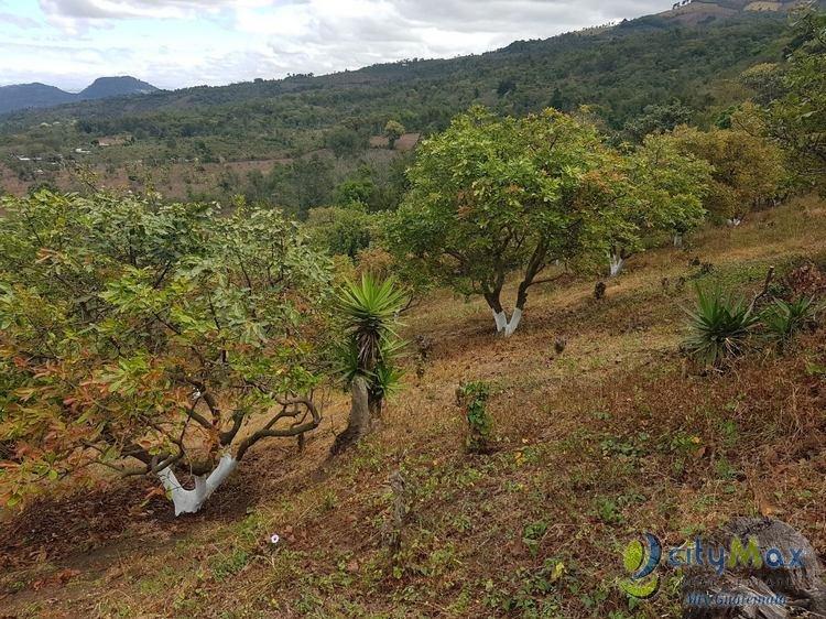 Terreno en Venta de 2.6 manzanas en San Vicente Pacaya - Image 1