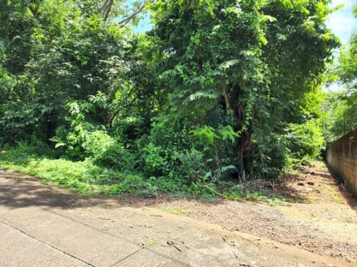 Terreno en Venta Cañadas de Torre Molinos Escuintla - Image 1