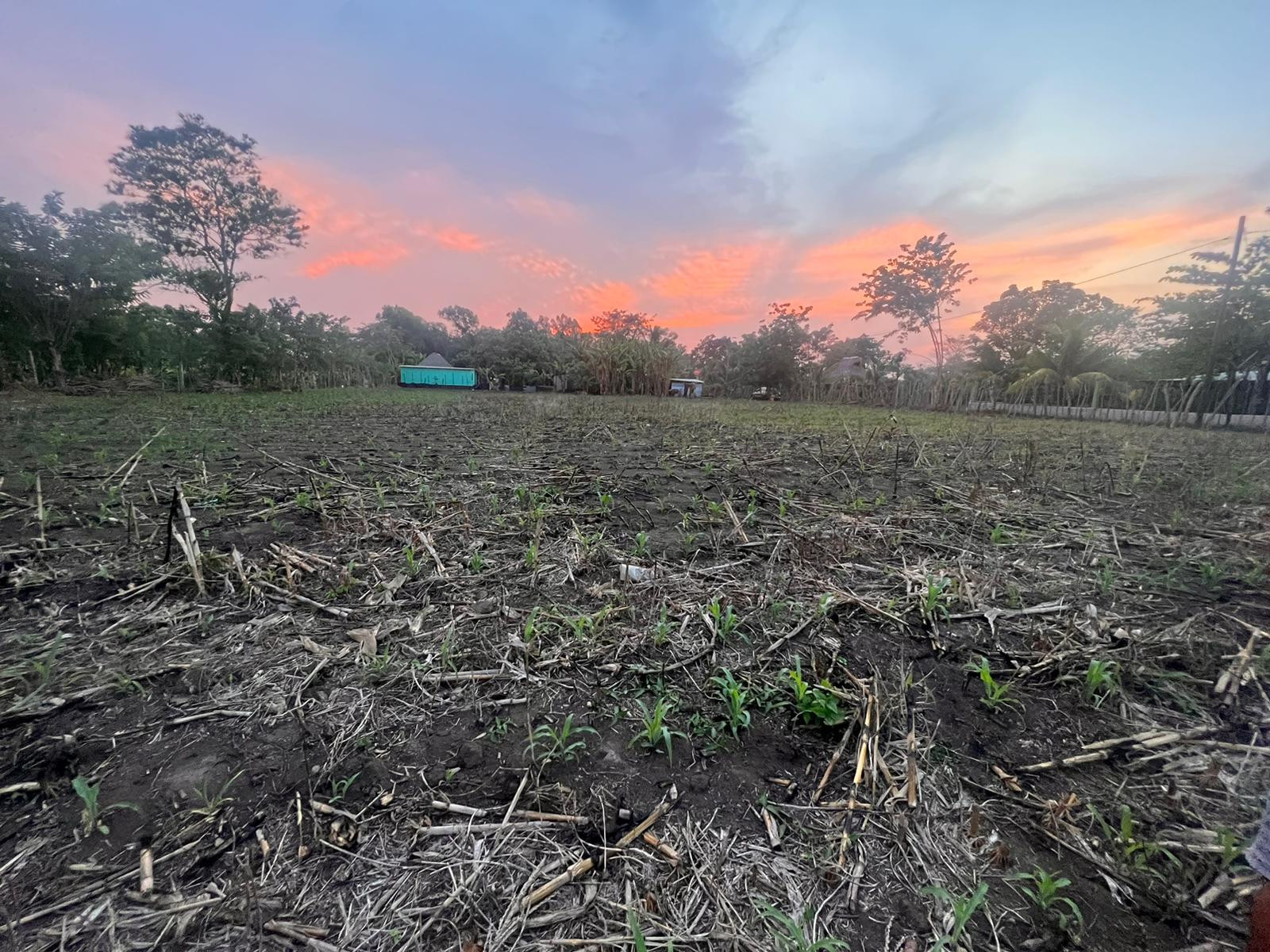 Terreno Agrícola en Venta Puerto San José Parcelamiento - Image 1