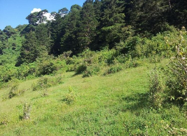 TERRENO EN VENTA EN VISTA HERMOSA IV ZONA 16 GUATEMALA