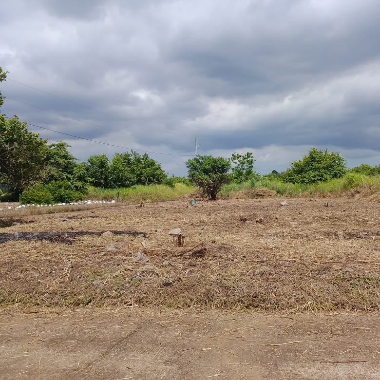 Terreno en Venta Quintas La Ponderosa Escuintla - Image 1