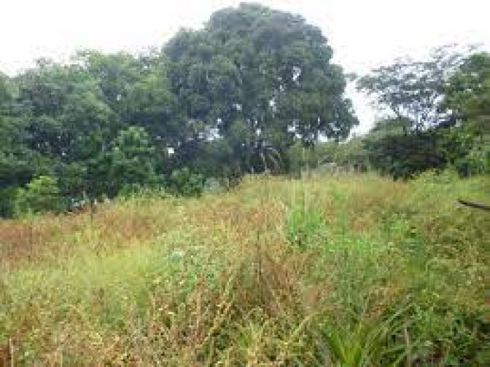 TERRENO EN VENTA EN ALDEA EL JOCOTILLO VILLA CANALES GUATEMALA