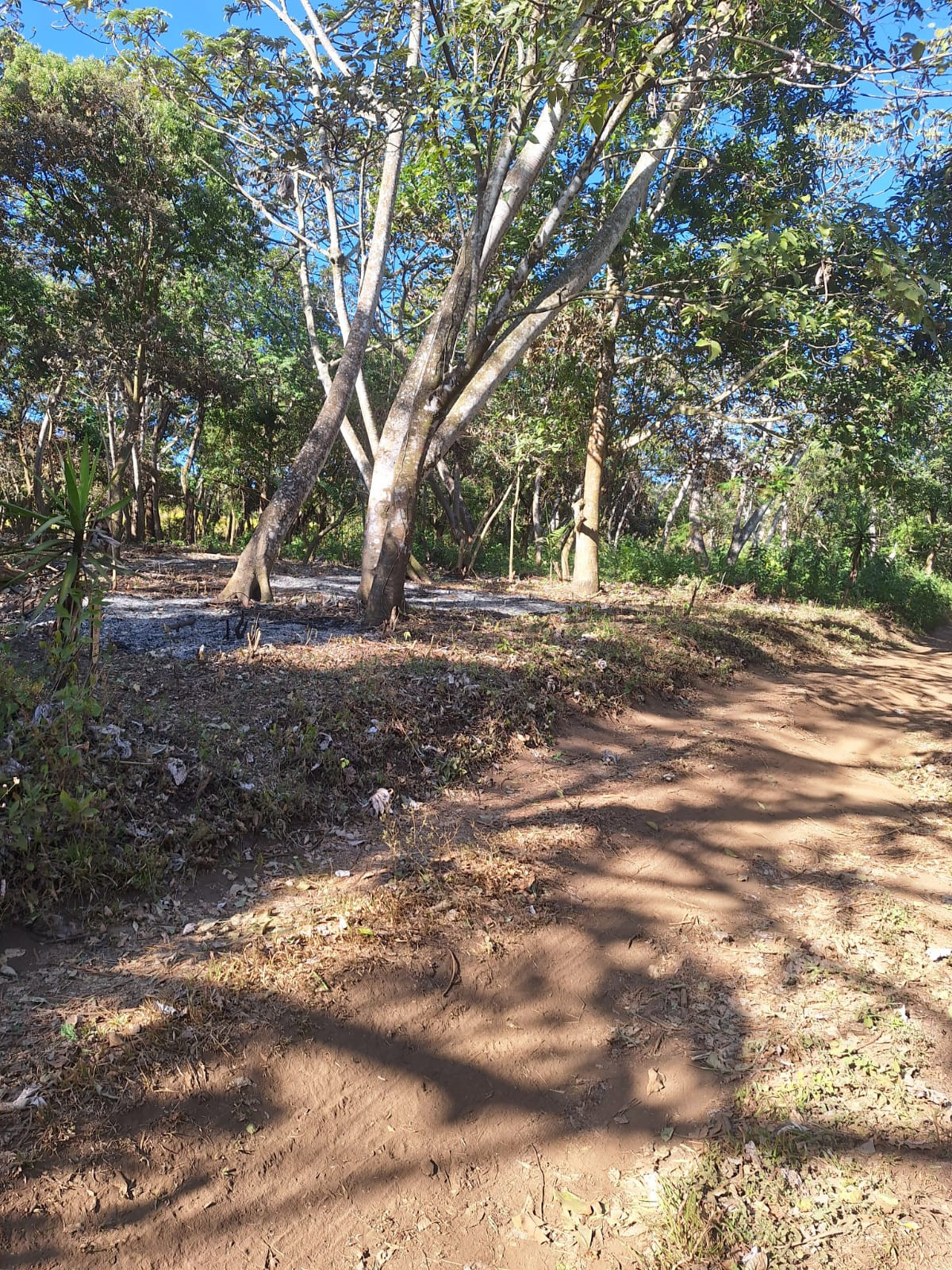 Terreno Residencial en Venta en Condominio de Palín - Image 1