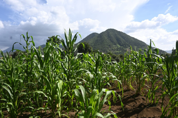 Terreno en venta en Pastores, Sacatepéquez - Image 1