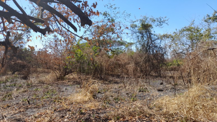 Terreno en Venta Quintas Malibú, Escuintla, Guatemala - Image 1