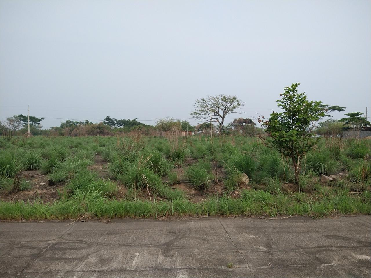 Terreno en Venta Quintas Las Ponderosa, Escuintla - Image 1