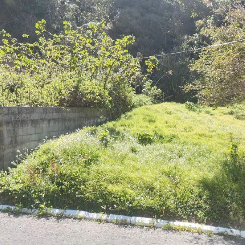 Terreno en Venta Terravista Coventry Carr a El Salvador