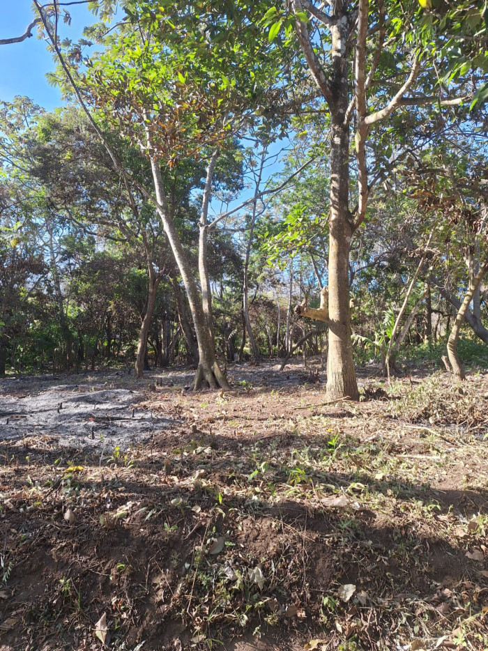 Terreno Residencial en Condominio de Palin Escuintla - Image 1