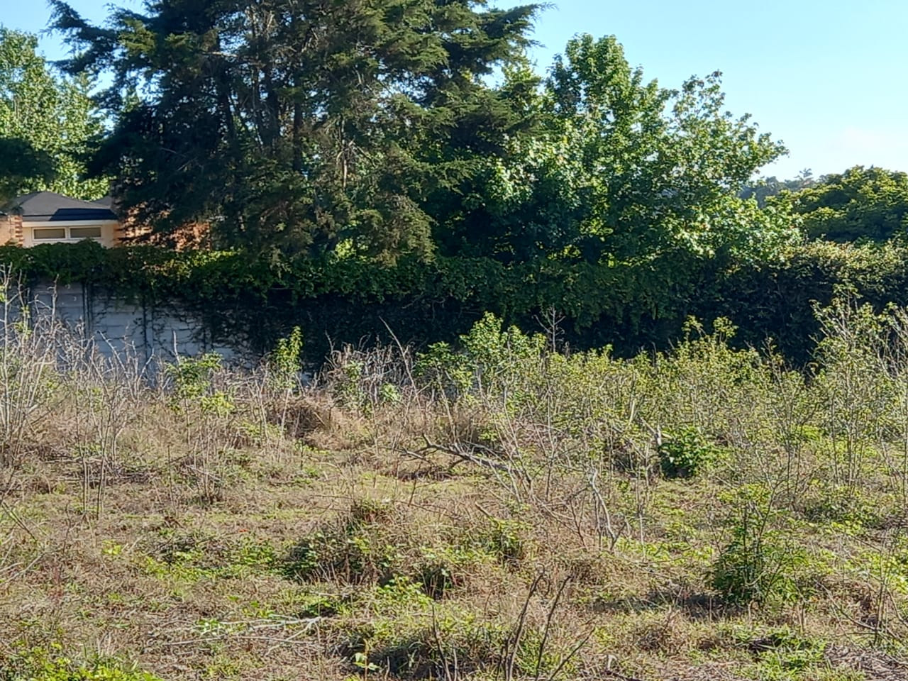 Terreno en Venta en San Jorge Muxbal