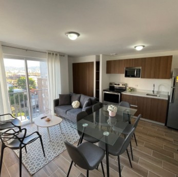 Apartamento en renta zona 12