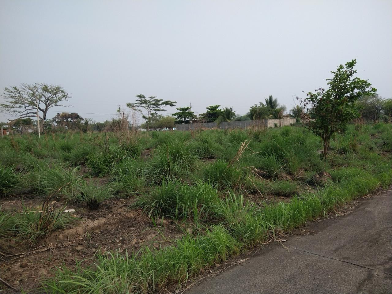 Lote en Venta Quintas Las Ponderosa, Escuintla - Image 1