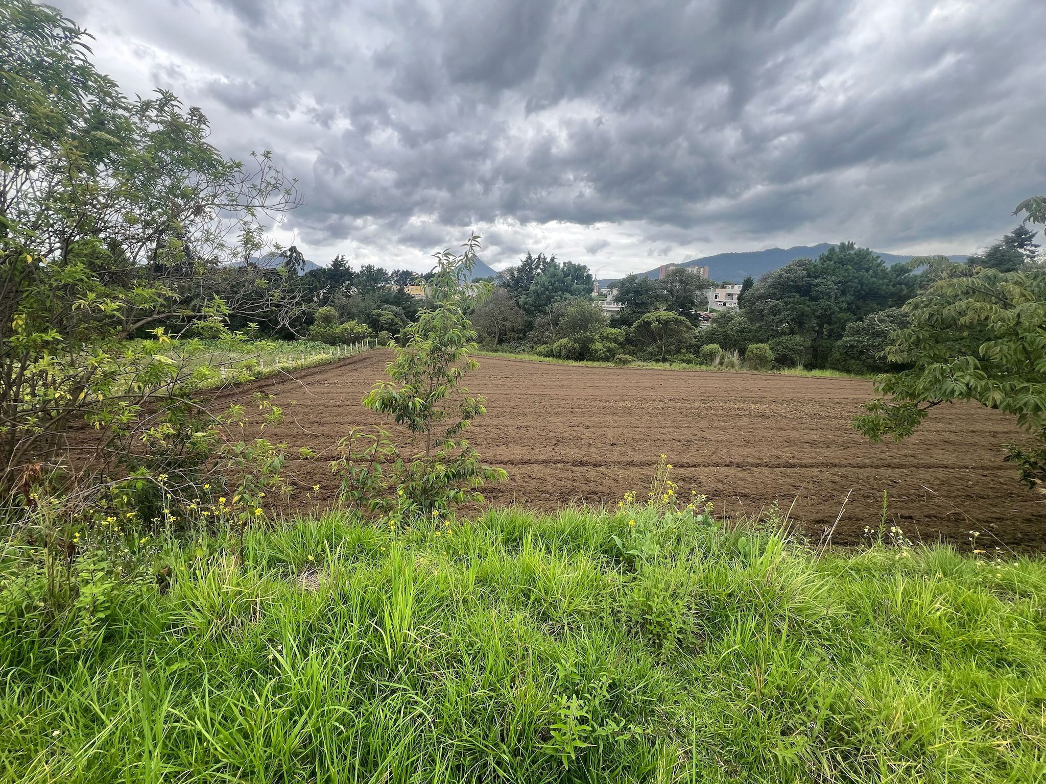 Finca o Terreno en Venta en Zona 1 de Quetzaltenango - Image 1