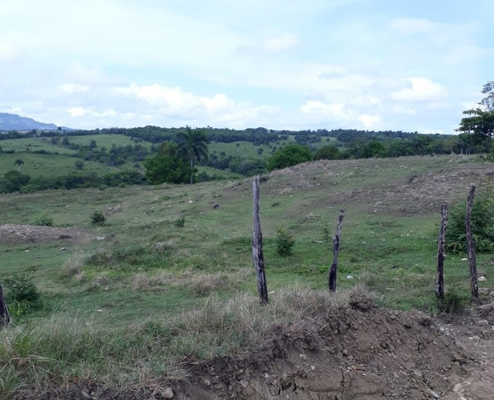 Finca Sucesión Collado Polines Puerto Plata