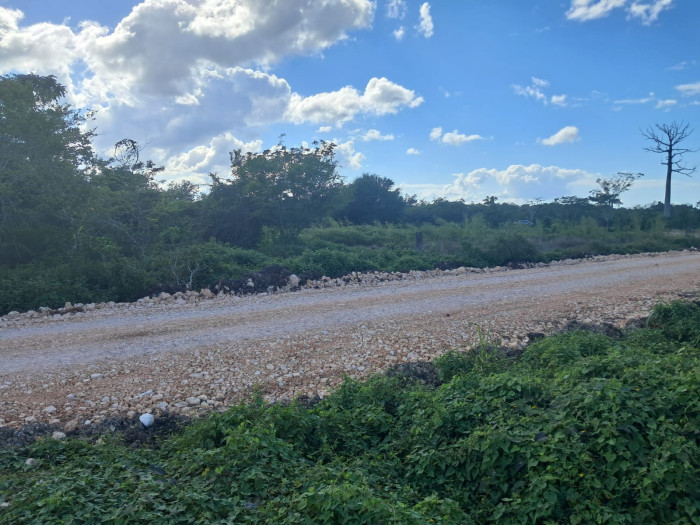 Venta de Terreno Plano en San Benito, Petén. - Image 1
