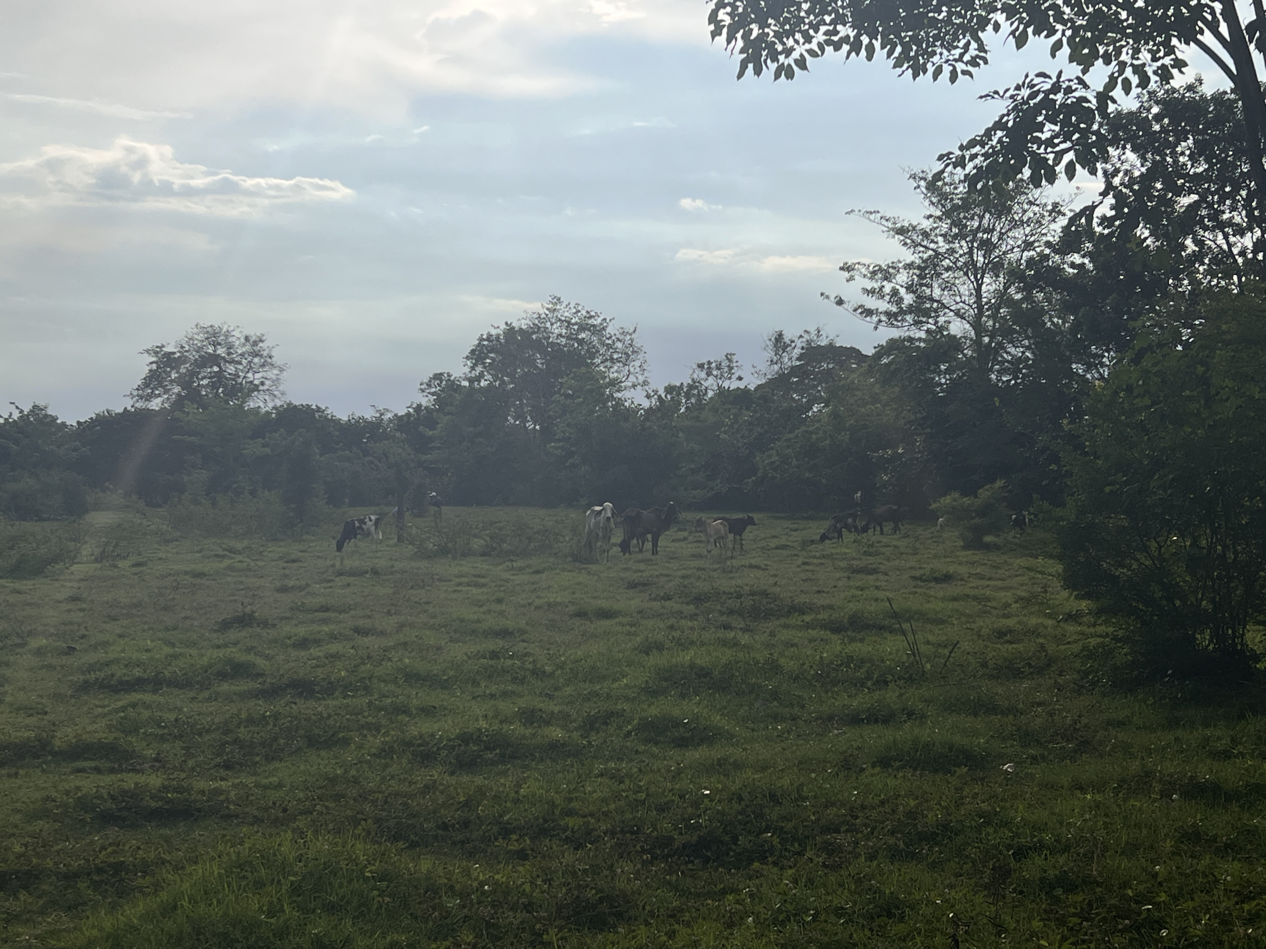  Terreno Comercial en Venta en Masagua, Escuintla - Image 1