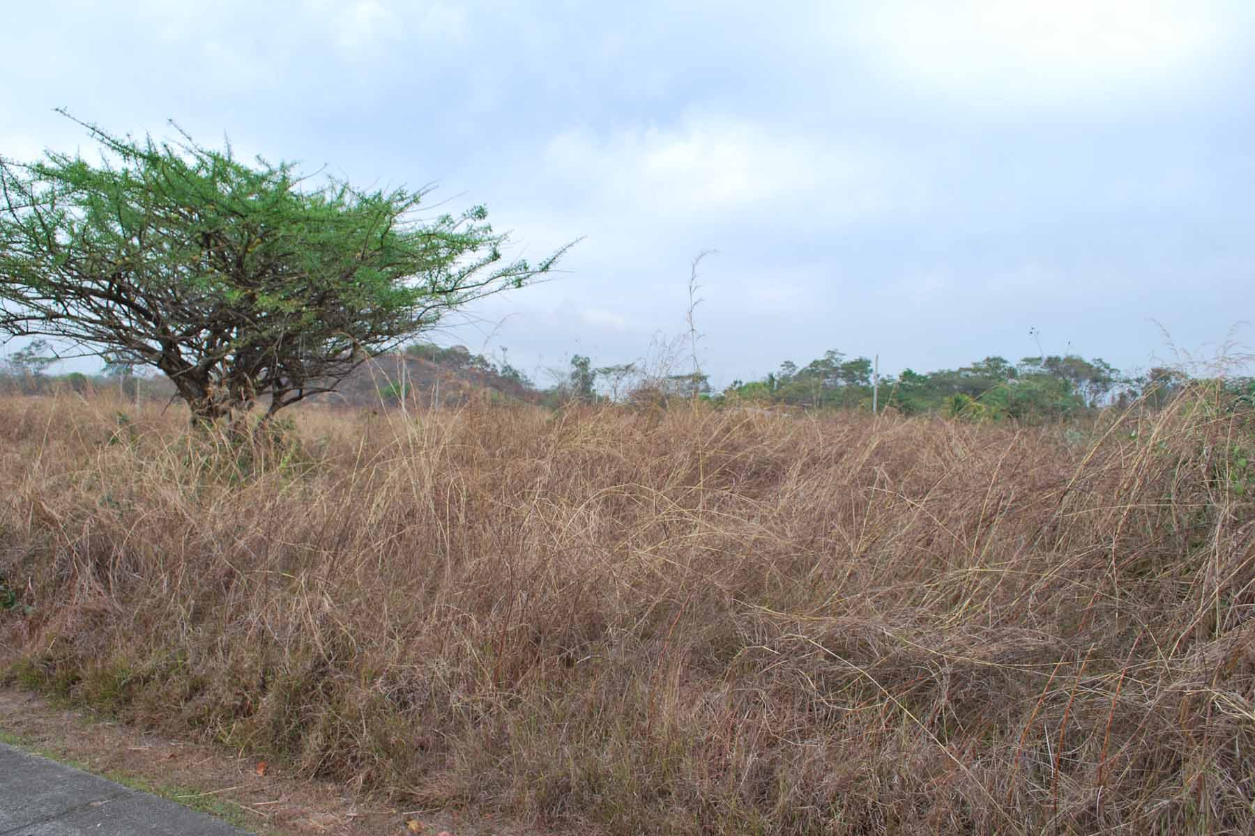 Terreno en venta en Puerto Quetzal - Image 1