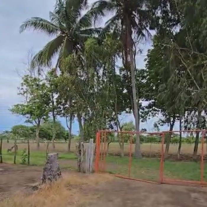 Terreno en Venta La Gomera, Escuintla, Guatemala OCRET - Image 1