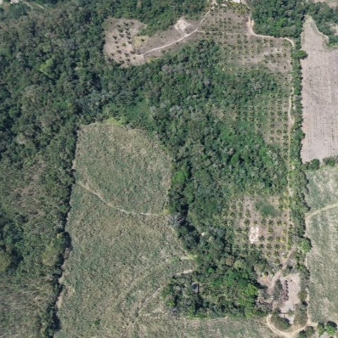 Terreno en Venta Aldea Xayá, Santa Lucía Cotzumalguapa - Image 1