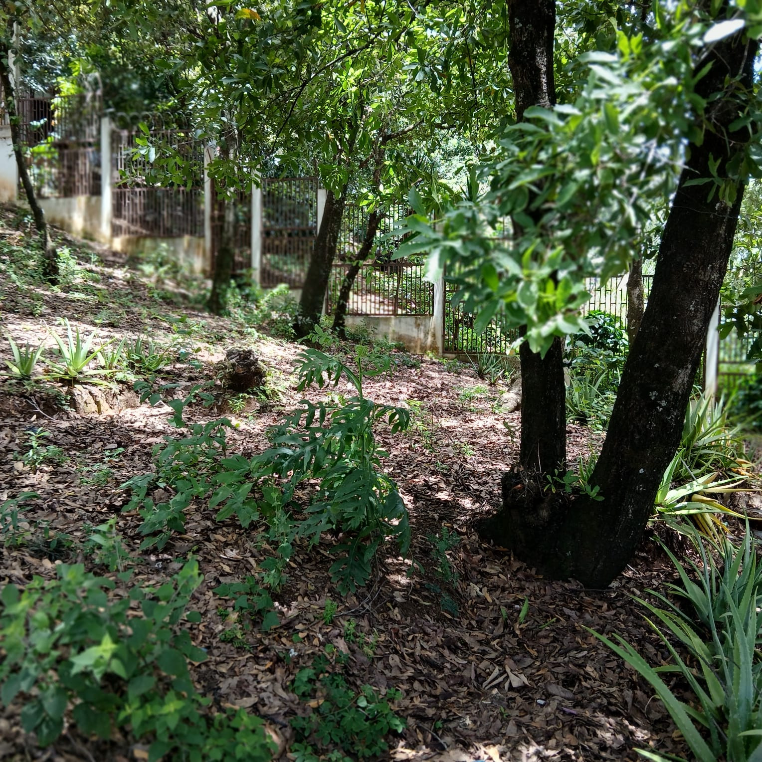 Terreno en venta en Ciudad San Cristobal - Image 1