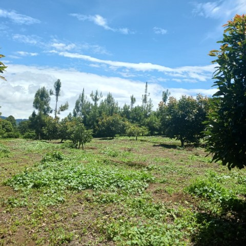 Terreno Comercial y Residencial en Venta Santiago Sac. - Image 1
