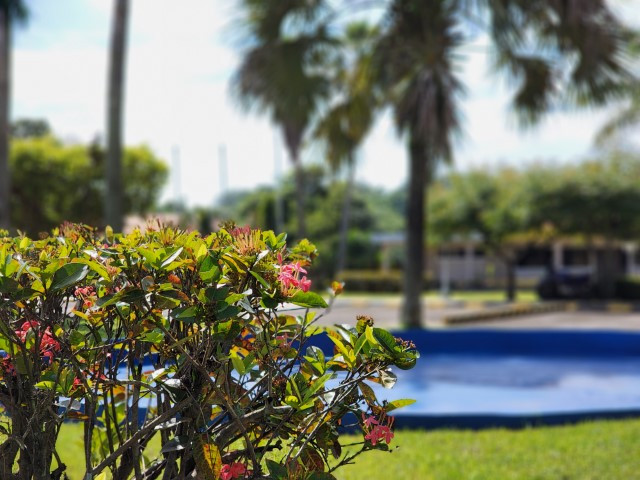 Terreno en Venta Escuintla, Lagunas de Torre Molinos - Image 1