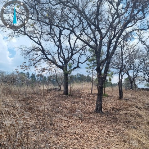 Terreno Comercial en Venta, Jalapa, Cabecera - Image 1