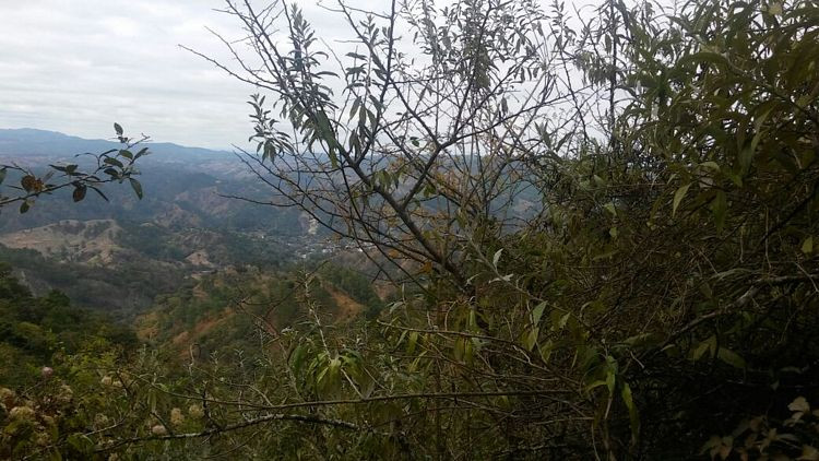 En Venta 70 Manzanas Terreno Boscoso San Pedro Ayampuc