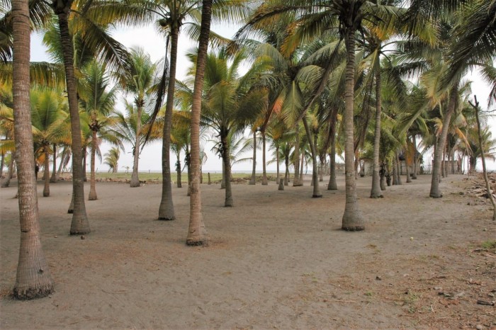 Terreno frente al mar con chalet en venta Playa Tulate - Image 1