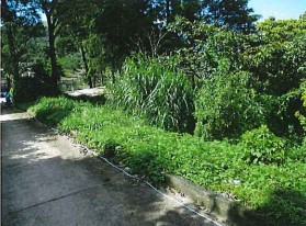 Venta de terreno para hotel o viviendas, Villa Canales - Image 1