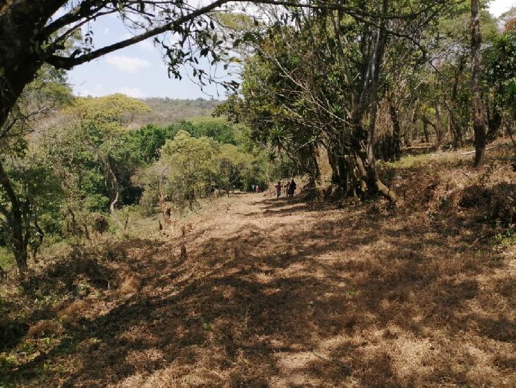 Terreno en Venta en Km 26.5 Carretera a El Salvador