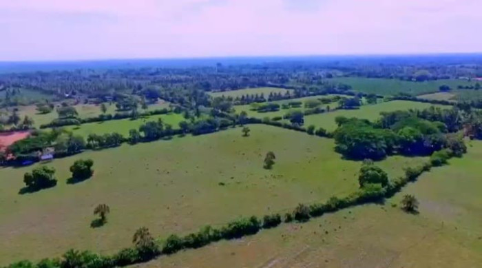 Finca en Venta en Tiquisate Escuintla 