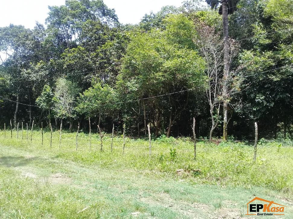 Solar de venta en La Loma, Hato Viejo, Jarabacoa