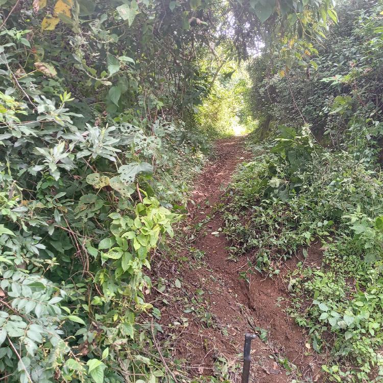 TERRENO EN VENTA EN SAN CRISTOBAL ANTIGUA GUATEMALA